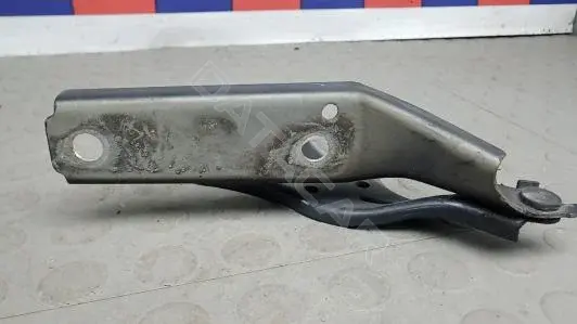 Петля капота CBM06D501