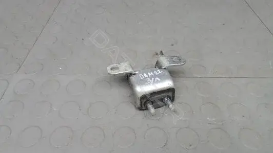 Петля двери DBM22FP01