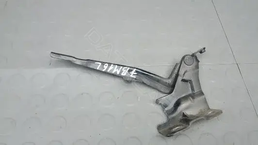 Петля капота 7BM16D501