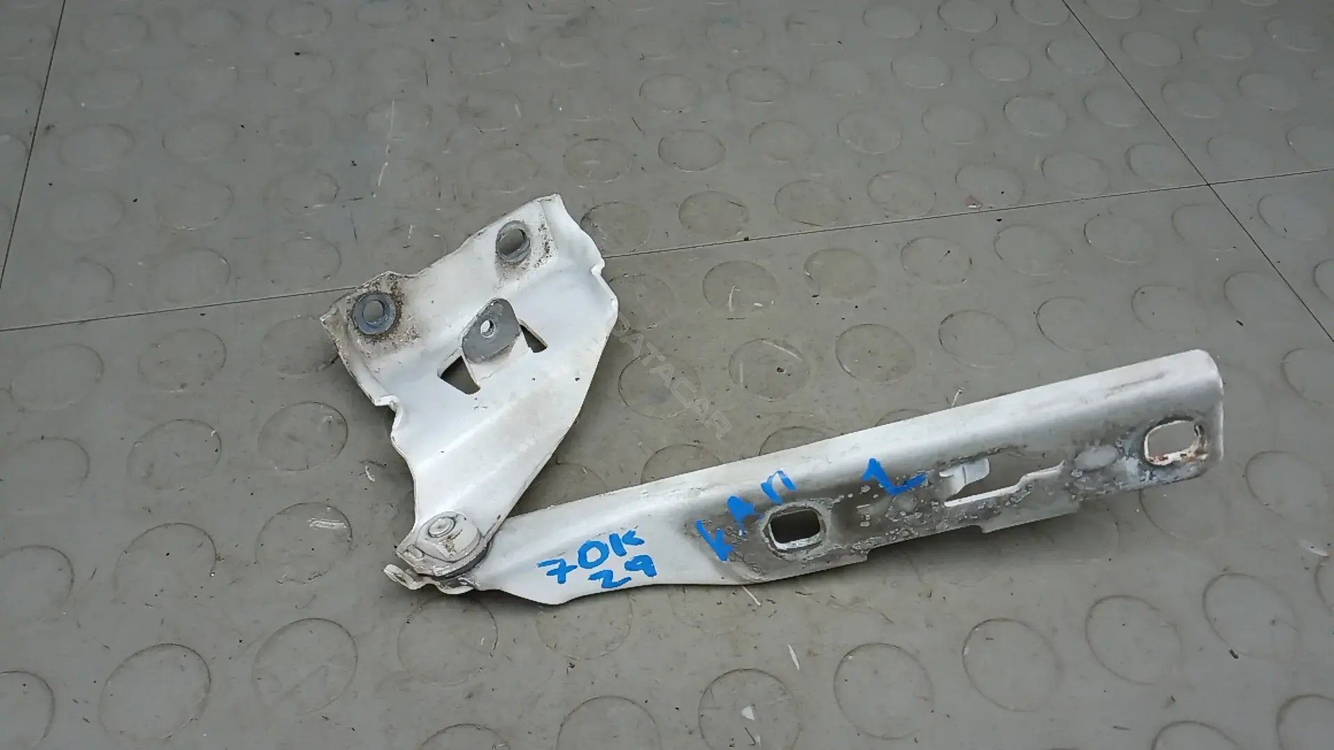 Петля капота 7OK29D502