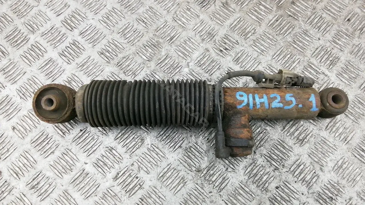 Амортизаторы 91H25LX01