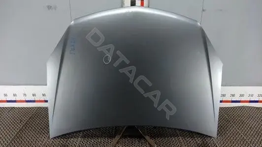 Капот DLK24D201