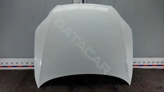 Капот ELK57D201
