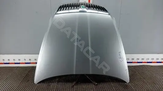 Капот ELK12D201
