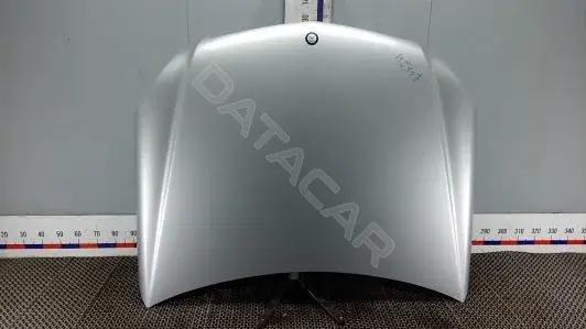 Капот ELK24D201