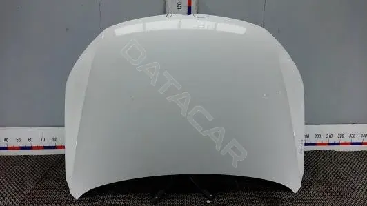 Капот ELK32D201