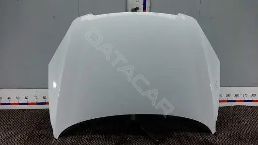 Капот ELK30D201