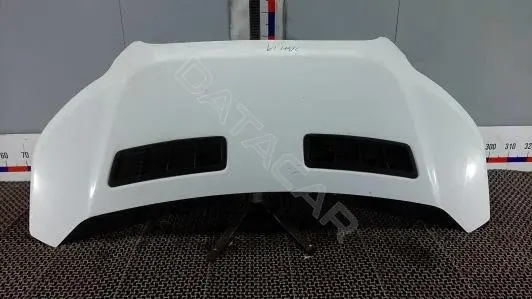 Капот SBM19D201