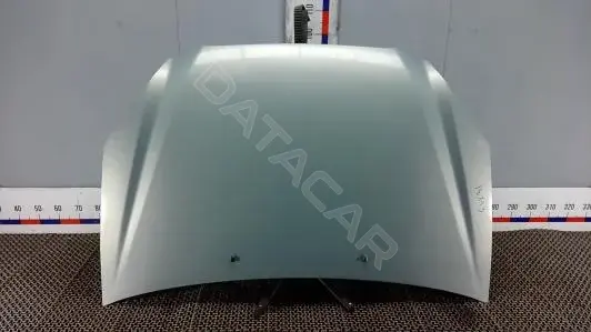 Капот ELK31D201