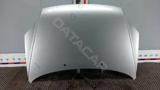 Капот ELK04D201
