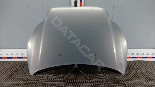 Капот ELK67D201