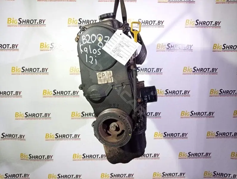 Двигатель в сборе B12S1