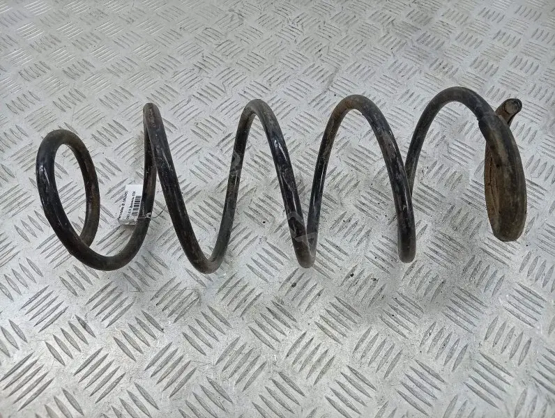 Пружины 10458985