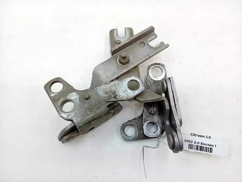 Петля капота 9633672380