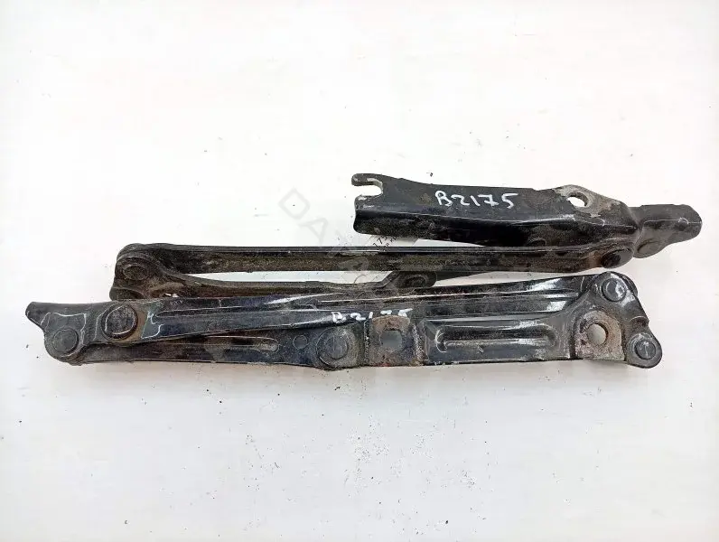 Петля крышки багажника 10448122