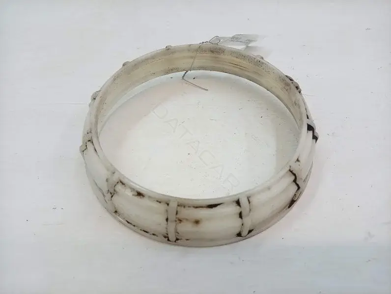 Гайка топливного бака 413171811