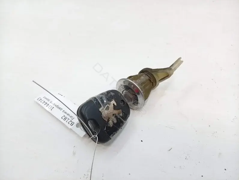 Личинка замка двери 10444743