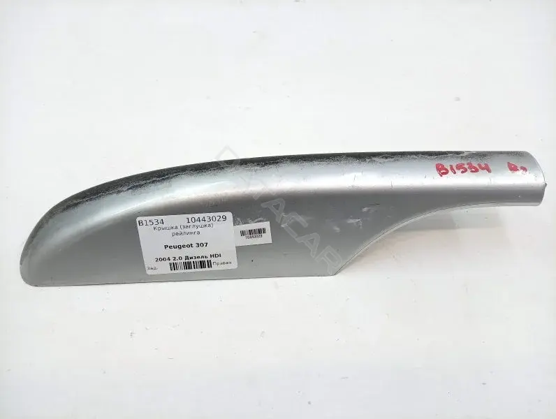 Крышка (заглушка) рейлинга 9641411777