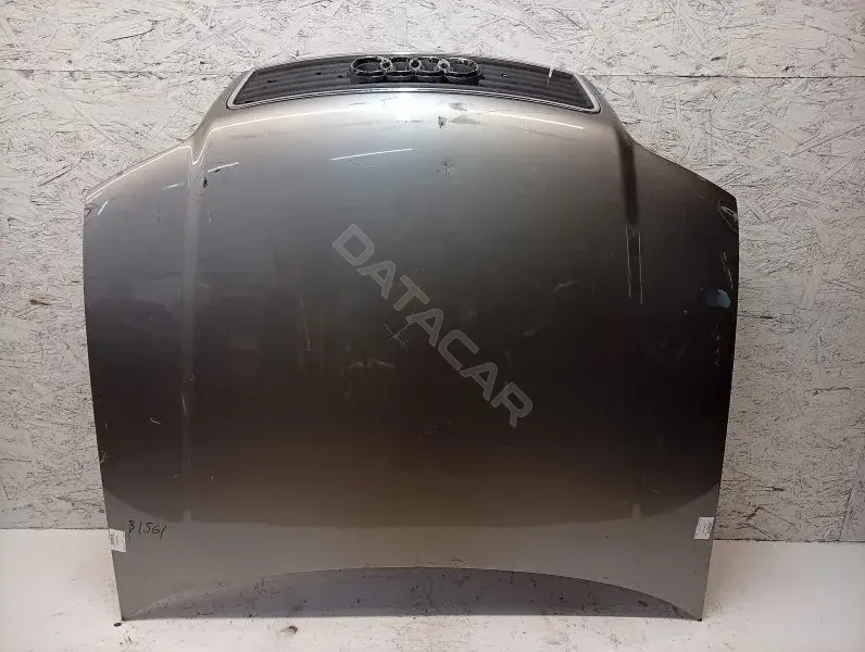 Капот 10440450