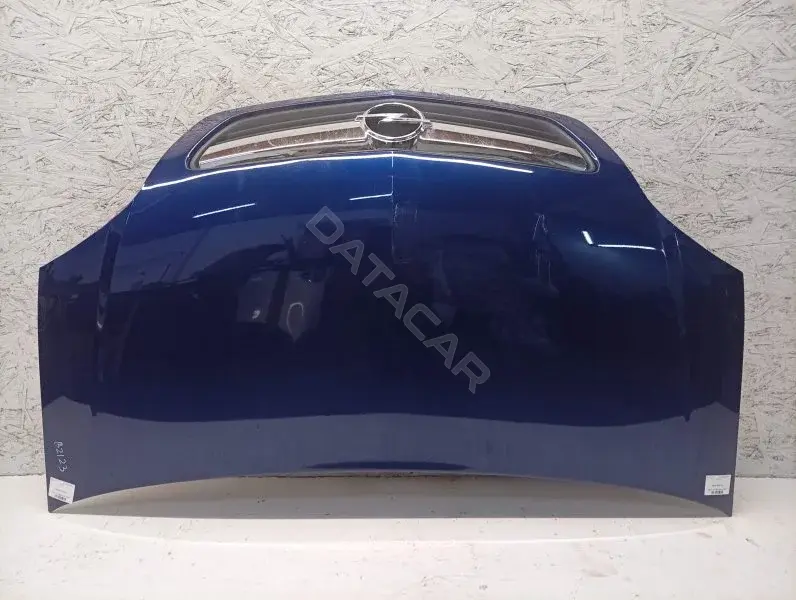 Капот 10440247