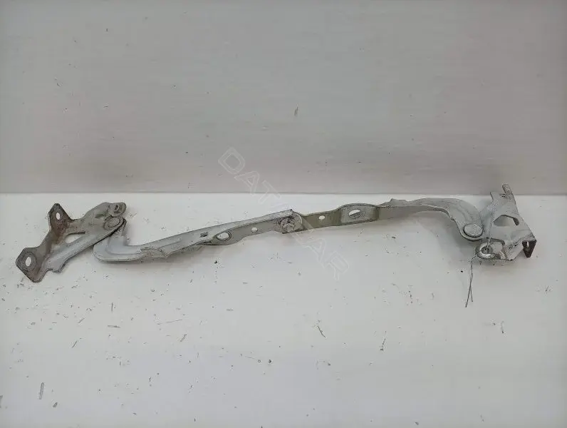 Петля капота 10439495