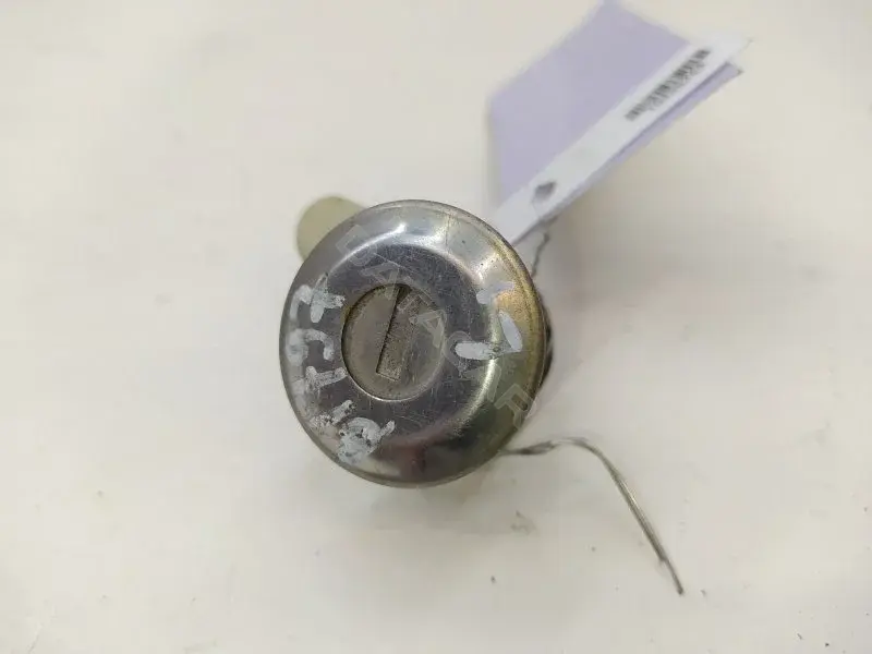 Личинка замка двери 10435244