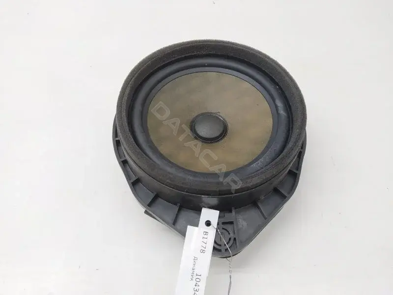 Динамик 13257500