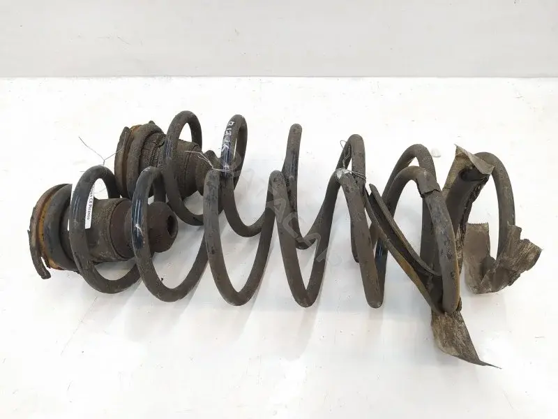 Пружины 10433477
