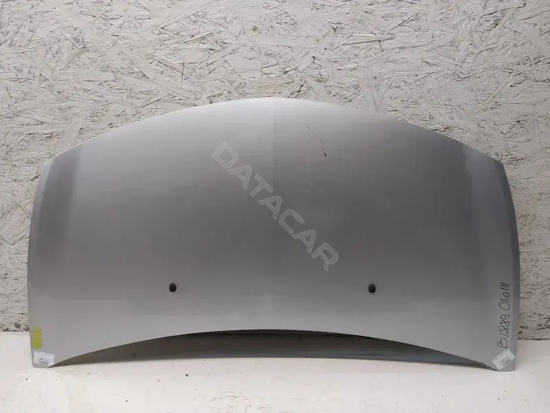 Капот 10431818