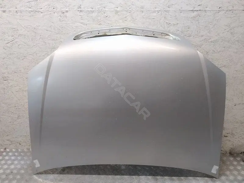 Капот 10427918