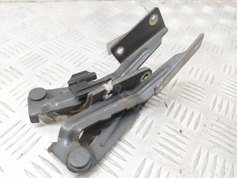 Петля капота XS4116801AF