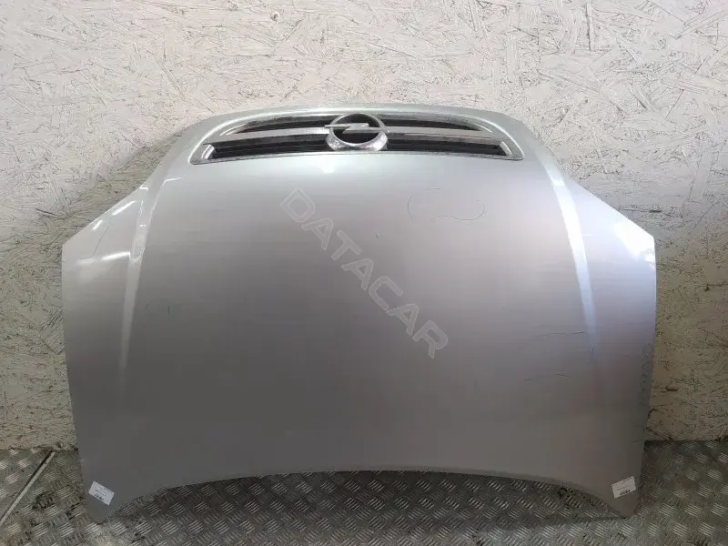 Капот 10420699