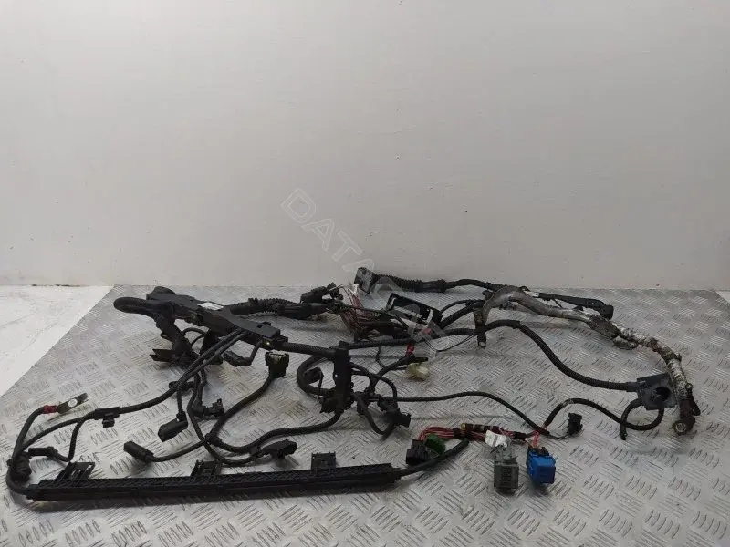 Проводка двигателя 7580393