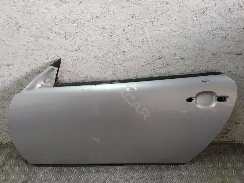 Дверь 10419395