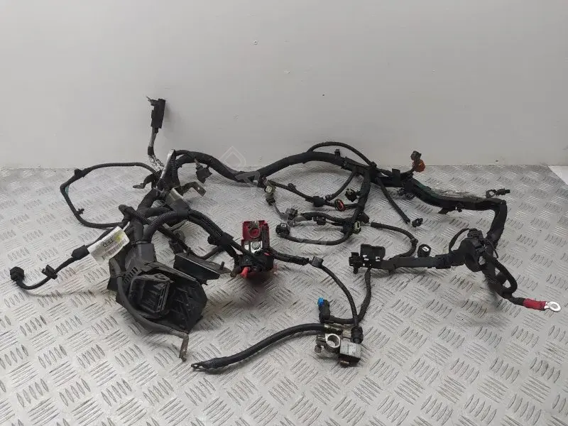 Проводка двигателя C1BT12A522TFD