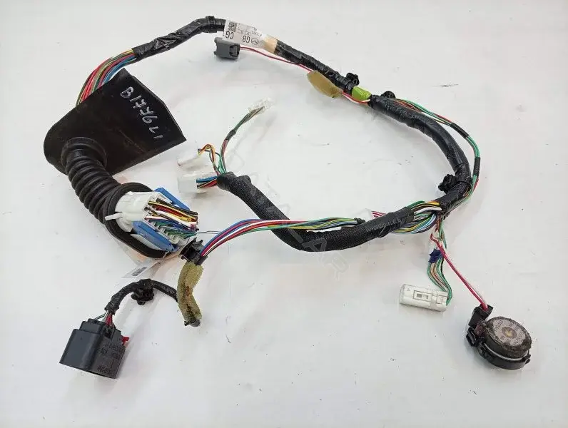 Проводка двери CG1667190