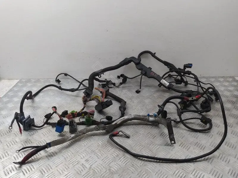 Проводка двигателя 7802170