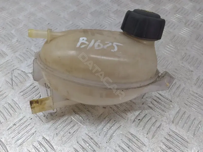 Расширительный бачок 217107259R