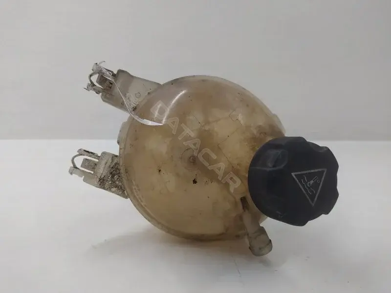 Расширительный бачок 9800777280