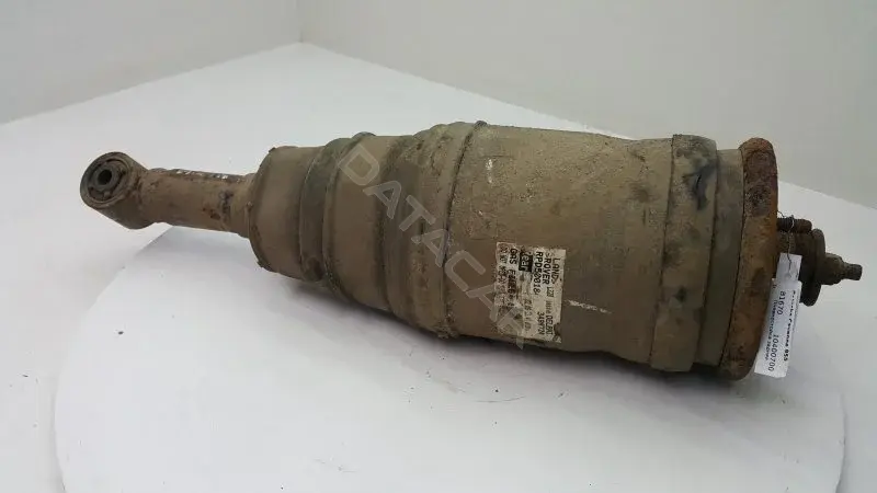 Пневмоподушка RPD500184