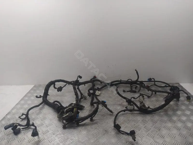 Проводка двигателя 10399032