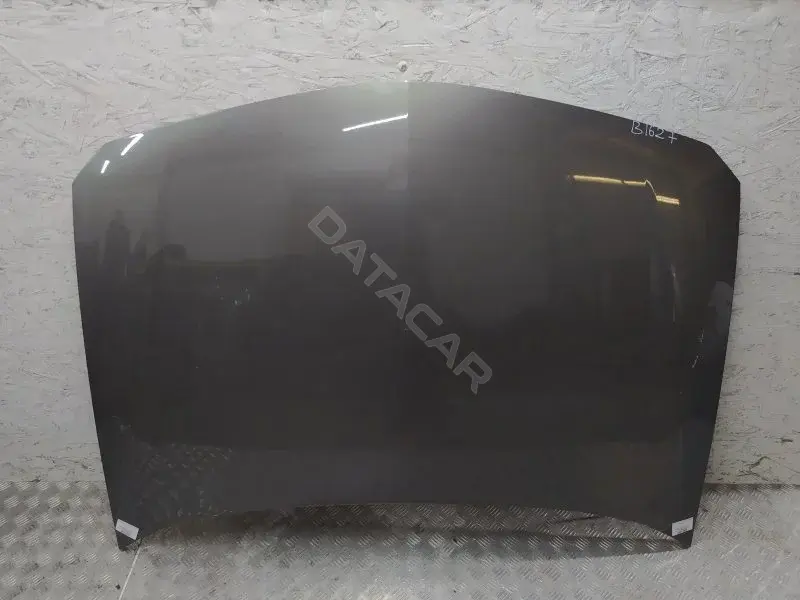 Капот 10397084