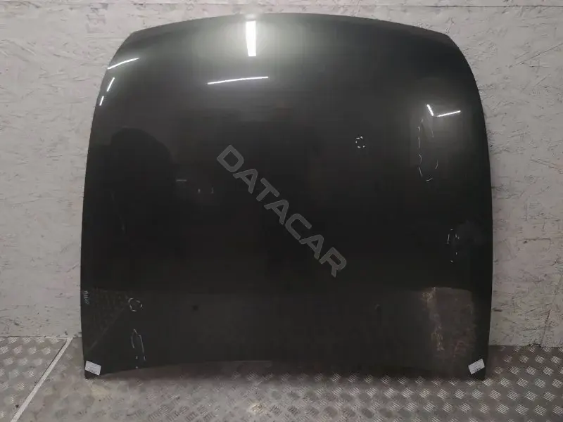 Капот 10396004