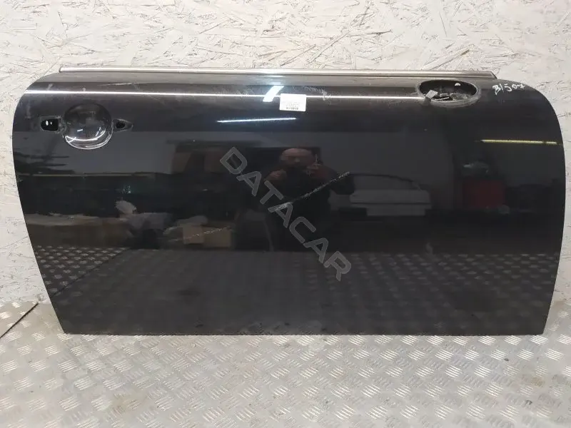 Дверь 10392542