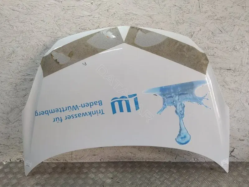 Капот 10390931