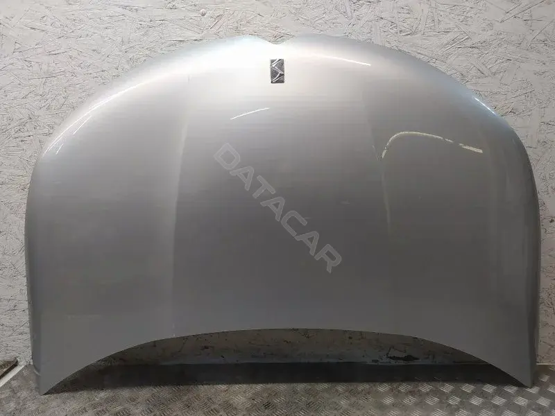 Капот 10384824