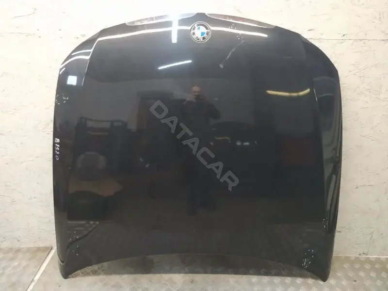 Капот 10382617