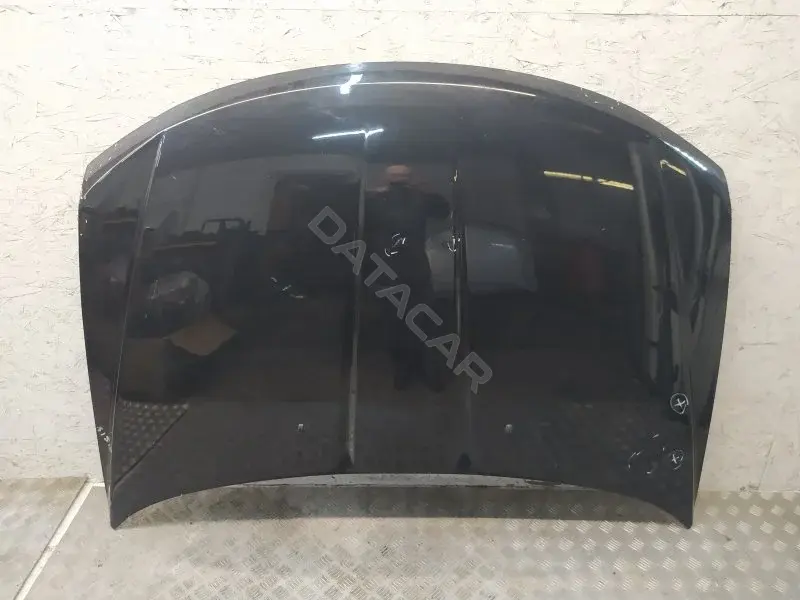 Капот 10382471