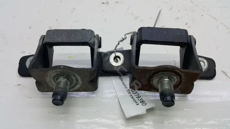 Петля крышки багажника 10379380