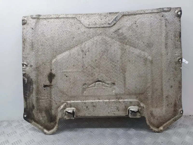 Защита КПП 80A825209